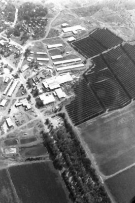 8356-PICT0044 בית השיטה מהאויר 1973
