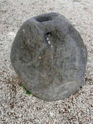 P1251558