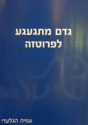 PC060016