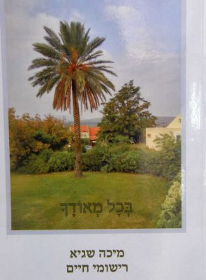 PC060050